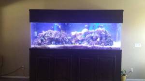 00505_llvaOIfZPAX_600x450