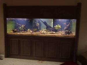 00101_4IAoe2jlqt1_600x450