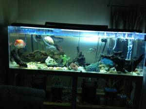 00303_22NG8yc1HfI_600x450