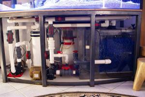 00a0a_6BNoWvh4OWf_600x450