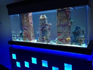 00b0b_dmLqqy0j7xf_600x450