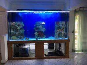 00d0d_7OSFRNCqtG7_600x450