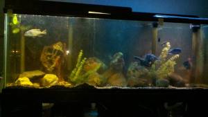 00d0d_auptZakCa2E_600x450