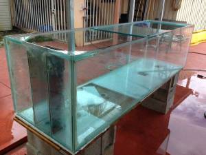 00J0J_dXpe0NLgXNb_600x450