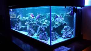 00n0n_gFAyLYg1Voh_600x450