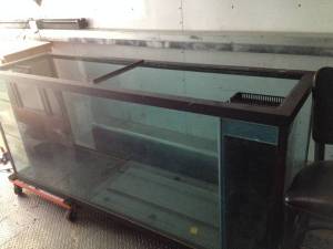 00o0o_goPDnv4fpgM_600x450