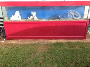 00P0P_2RR4zNDXaaZ_600x450