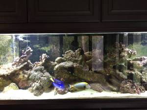 00P0P_cMwQcUkNsh2_600x450