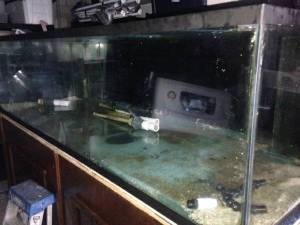 00Q0Q_39pex3kliPW_600x450