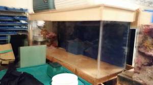 00r0r_fhwpqVCAWrh_600x450