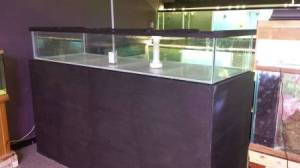 00s0s_43ZbJXsd5Gj_600x450