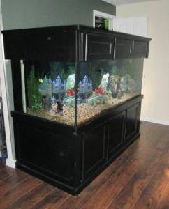 00T0T_2kU2HUuPJye_600x450