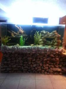 00U0U_3TSYF0Fs0XO_600x450