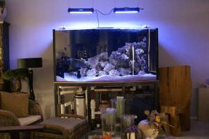 00U0U_56IHr3gTduV_600x450