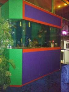 00w0w_aGfkoEkSs57_600x450