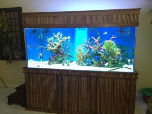 00X0X_3t1xwApLCV1_600x450