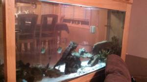 00X0X_fLL0UuVImZy_600x450