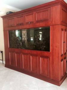 00Z0Z_30wKkudqpZt_600x450