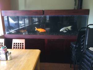 00z0z_eHWvSN7JJ8p_600x450