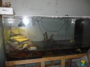 01212_dHfR3QnMBCw_600x450