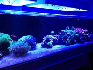 01212_kQAYMWi3MwO_600x450