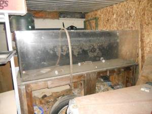 01717_f8JcUoASGPB_600x450