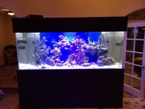 00707_b3rTvkc11Jc_600x450