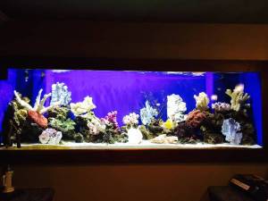 00C0C_s9980IG82j_600x450