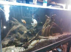 00L0L_bTNP8yUdh8l_600x450