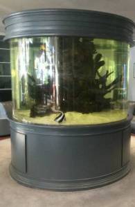 00s0s_l0wLp9TmxmG_600x450