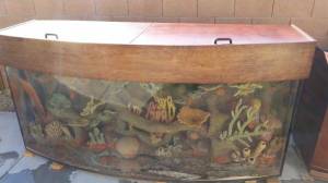 00s0s_mYgWaTLGTj_600x450