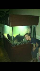 00V0V_i7iBwldgjU3_600x450