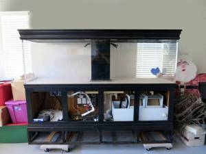 00y0y_6aYzWH5JozD_600x450