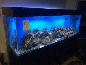 01212_komfZIoQxFx_600x450