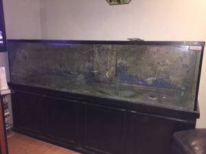 00E0E_1YhjWSEeJgi_600x450