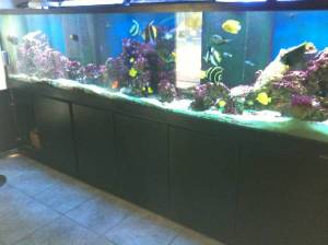 00G0G_8IsSccggxDE_600x450