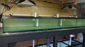 00i0i_iszme1qLs3N_600x450