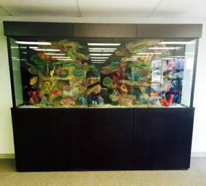 00r0r_50Ehwu6ELur_600x450