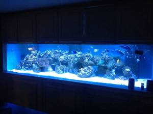 00r0r_fRDi2qaSB9O_600x450