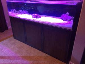 00d0d_jdyVitPsA8Z_600x450