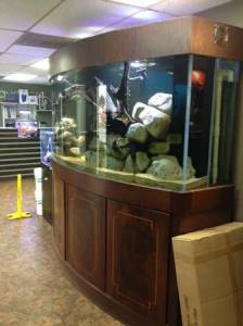 00f0f_i7cQPL7tE3r_600x450