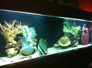 00V0V_5XHDdKbwa5G_600x450