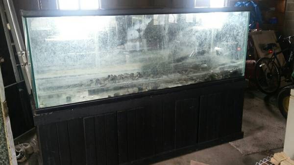 00404_dtnvf9Kx8hH_600x450