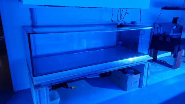 00E0E_8o0jnASbbyB_600x450