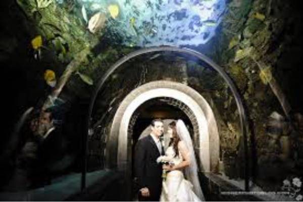 00O0O_g7YEO5LMbd4_600x450