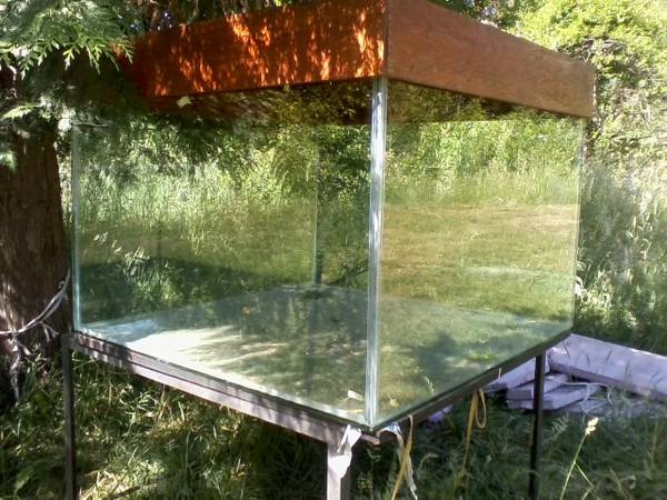 00606_d7amhIWaTNB_600x450