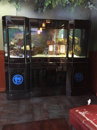 00L0L_6qaWawcmuJt_600x450