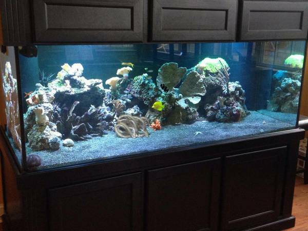 01111_cvKvgCCd23Z_600x450