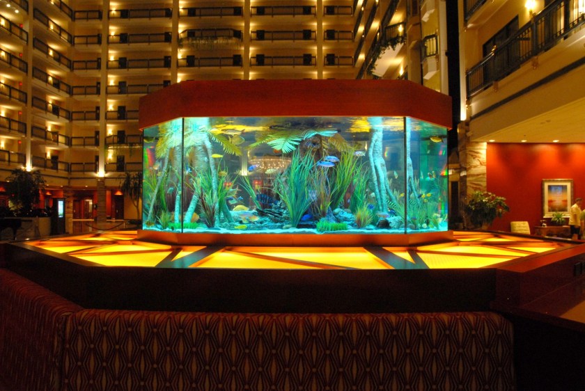 MAT_9284 (Large).JPG