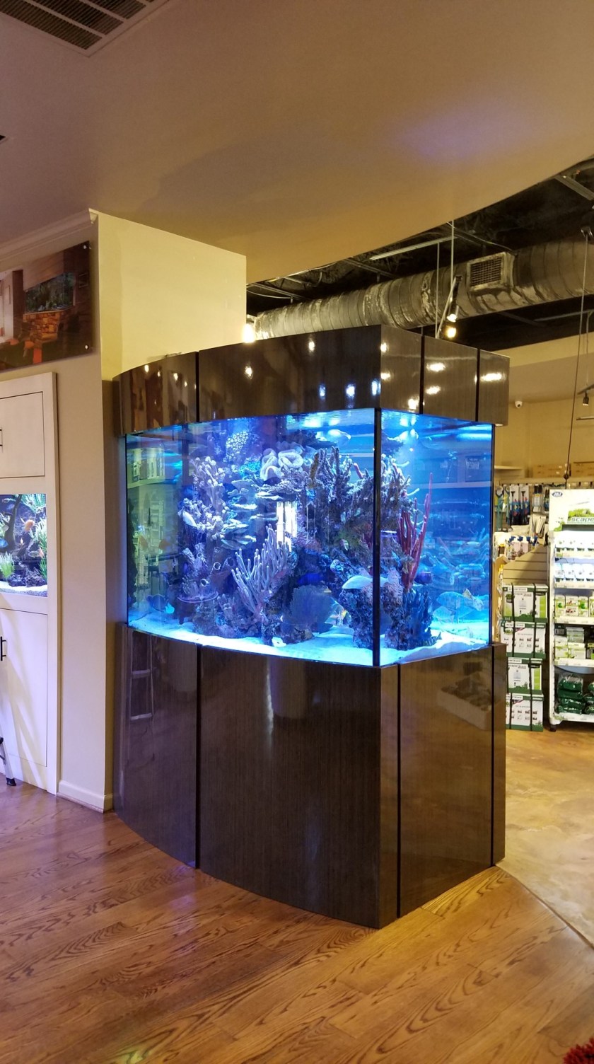 20160816_141110 (Large)